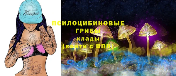 героин Абаза